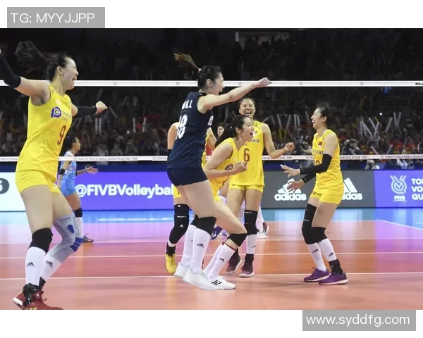 体育实时数据西安排球队战术变革引发热议排球界新趋势探讨与分析